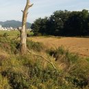 (주)중앙수자원개발 - 평택시 | (주)중앙수자원개발