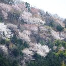 대곡물양장 이미지