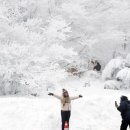 한라산, 환상적인 설경 구경해요 이미지