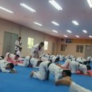 무덕태권도 이미지