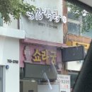 쇼라궁 네이버블로그