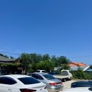 봉평메밀막국수냉면 | 강원도 고성 막국수 맛집! 봉평메밀막국수냉면(위치, 주차, 메뉴)