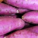 고우농장 이미지