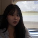 부산(요트투어,류센소,톤쇼우,첨벙,이재모피자 본점)에서의 여름휴가🏖️