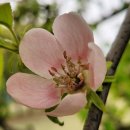 현촌근린공원 이미지