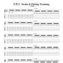 오른손 Stroke &amp; Picking Tranning 이미지