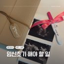 진해구 ⓒ-45 | 임신 초기 4주~12주, 해야 할 일(To do list)