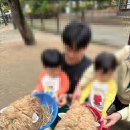 양평양떼목장 | 양평 양떼목장 방문 후기(아이랑 가볼만한 곳, 가격, 가을 핑크뮬리, 양 먹이주기 등)