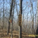 나원초등학교 이미지