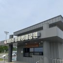 매향리 평화생태공원 | 경기도 화성 가볼만한곳 추천 : 매향리 평화생태공원 아이와 함께 주말 나들이 찐 후기