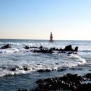 어달해변 이미지