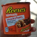 미국 과자 과카칩(GuacaChip)과 리세스 스프레드 스틱(Reese's Spreads Snacksters) 먹은 후기 ♪