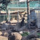 청마루농장 이미지