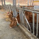 제천농장 이미지