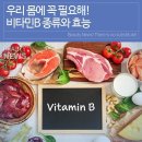 🍀 비타민B 종류와 효능 🍀 이미지