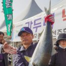 방어축제거리 이미지