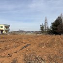 농은오피스텔 | 소득 안 보고 “80%까지 대출”…셀프 평가로 담보가치 부풀리기도