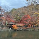 선운산도립공원(선운사 주차장 앞) 이미지