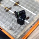 카서비스가든 이미지