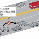 얌체