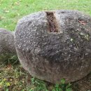 개령중학교 이미지