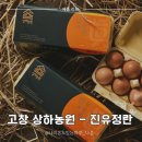 고창 상하농원 아이와 가볼만한곳 - 성시경도 극찬한 진유정란 내돈내산 후기