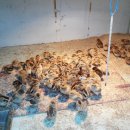 민기농장 이미지