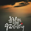 써니건강