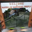 반딧불안경 이미지