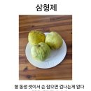 경남 기독문인회 청지기, 김동섭 장로 이미지