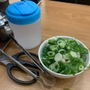 유일설렁탕 이미지