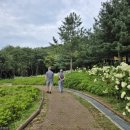 120.산림욕장_2 경기도뉴스