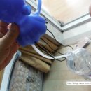 (주)포씨드 이미지