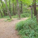 장수천약수터 이미지