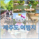 분식문방구 하계점 | 제주도 아이와 가볼만한곳 여행지 5곳 정리