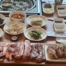 제주산돼지 이미지