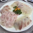 동백섬 | 부산 해운대 동백섬횟집 제대로 다녀온 후기