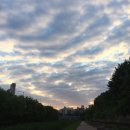 우주당구장 이미지