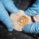 부천중동시장 이미지