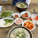 천일돼지국밥 네이버블로그
