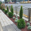 대전은어송초등학교 이미지