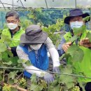 김영태농장 이미지