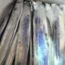 선단체육문화센터 이미지