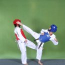 수호태권도장 이미지