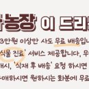 차식농장 이미지