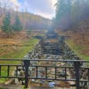 우면산 (대성사 옆) 이미지