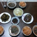 복실이 PC 이미지