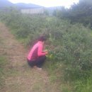 남규농장 이미지