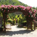 솔향수목원(암석원) 이미지