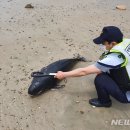 남해-135 이미지